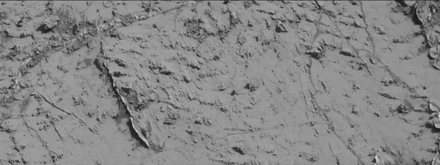 Sol 3139: Mast Camera (Mastcam)