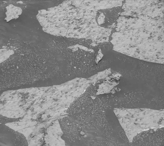 Sol 3147: Mast Camera (Mastcam)