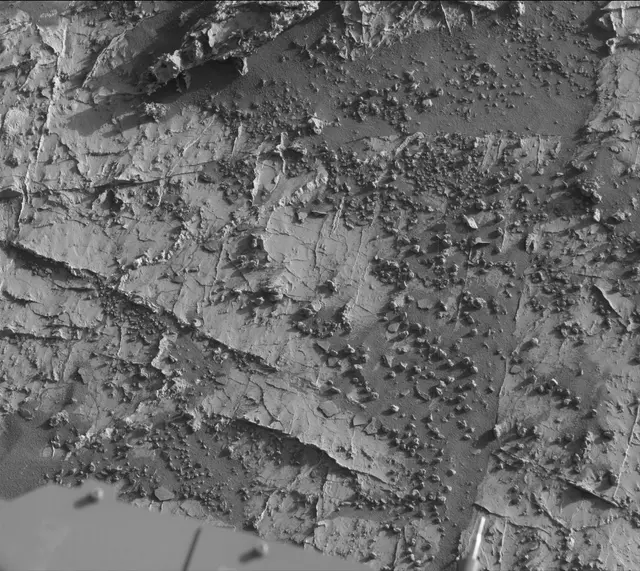 Sol 3149: Mast Camera (Mastcam)