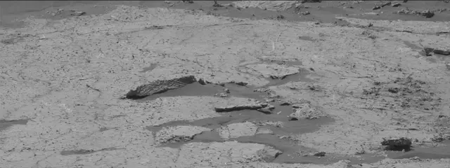 Sol 3156: Mast Camera (Mastcam)