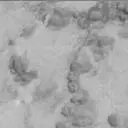 Sol 3158: Mast Camera (Mastcam)