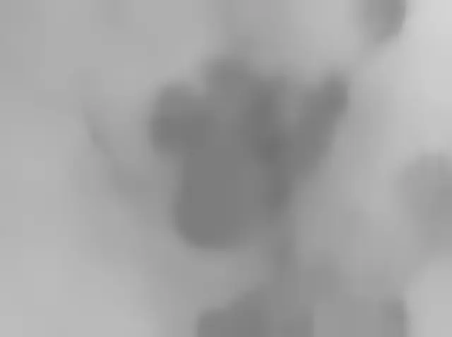 Sol 3180: Mars Hand Lens Imager (MAHLI)