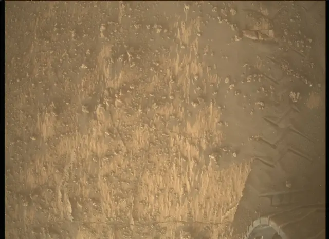 Sol 3188: Mars Descent Imager (MARDI)