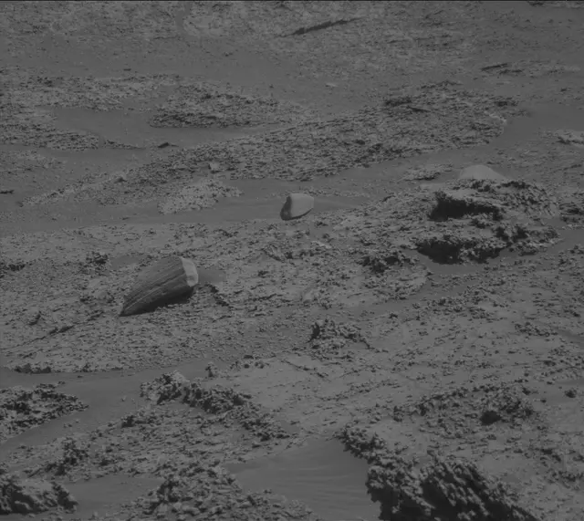 Sol 3194: Mast Camera (Mastcam)