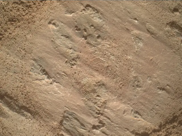 Sol 3201: Mars Hand Lens Imager (MAHLI)