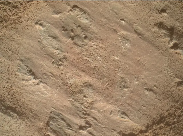 Sol 3201: Mars Hand Lens Imager (MAHLI)