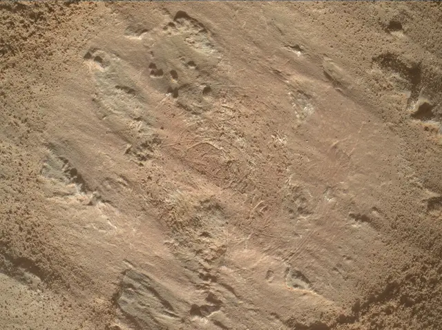 Sol 3201: Mars Hand Lens Imager (MAHLI)