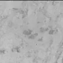 Sol 3202: Mast Camera (Mastcam)