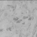 Sol 3202: Mast Camera (Mastcam)