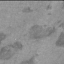 Sol 3202: Mast Camera (Mastcam)
