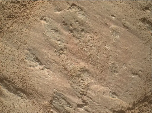 Sol 3202: Mars Hand Lens Imager (MAHLI)