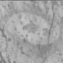 Sol 3203: Mast Camera (Mastcam)
