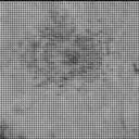 Sol 3203: Mast Camera (Mastcam)