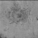 Sol 3203: Mast Camera (Mastcam)
