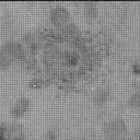 Sol 3203: Mast Camera (Mastcam)