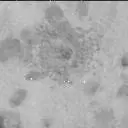 Sol 3203: Mast Camera (Mastcam)