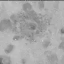 Sol 3203: Mast Camera (Mastcam)