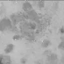 Sol 3203: Mast Camera (Mastcam)