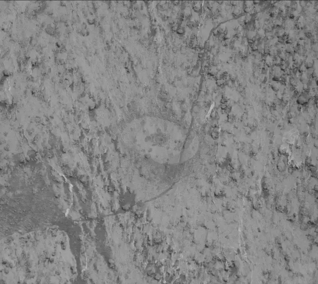 Sol 3203: Mast Camera (Mastcam)