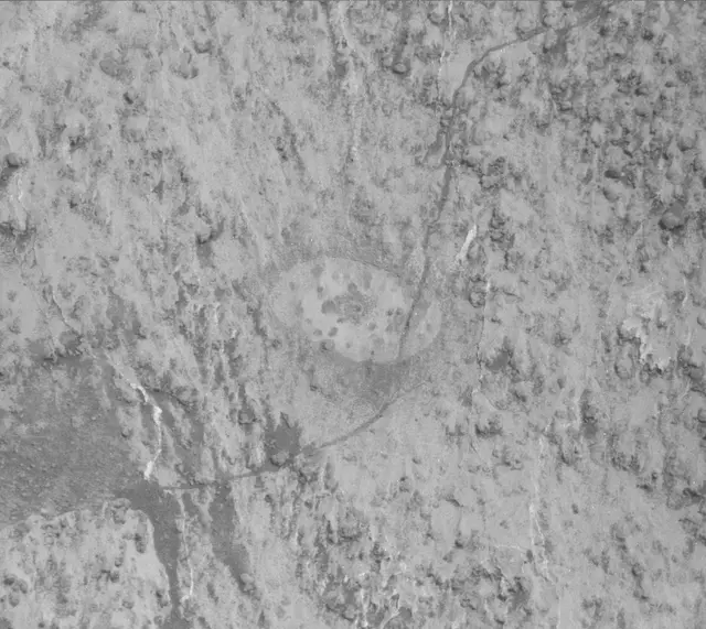 Sol 3203: Mast Camera (Mastcam)