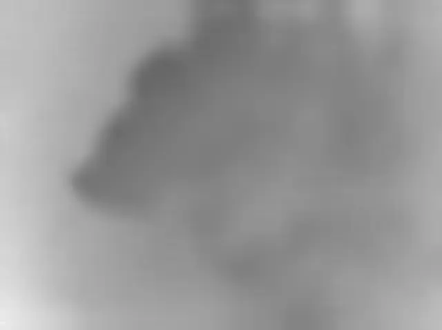 Sol 3204: Mars Hand Lens Imager (MAHLI)