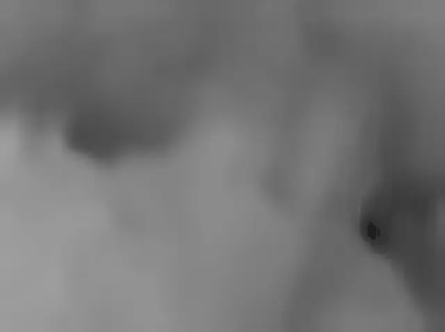Sol 3206: Mars Hand Lens Imager (MAHLI)