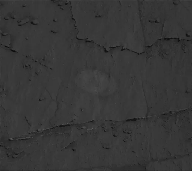 Sol 3210: Mast Camera (Mastcam)