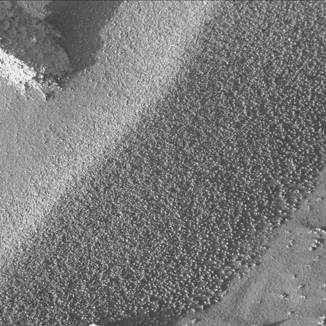 Sol 3219: Mast Camera (Mastcam)