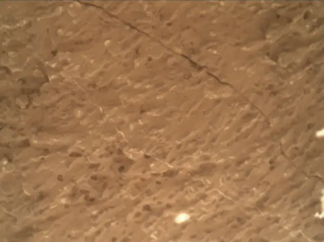 Sol 3219: Mars Hand Lens Imager (MAHLI)