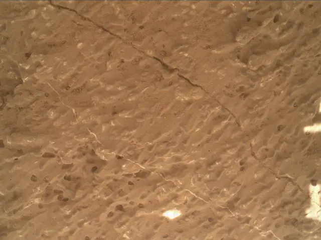 Sol 3219: Mars Hand Lens Imager (MAHLI)