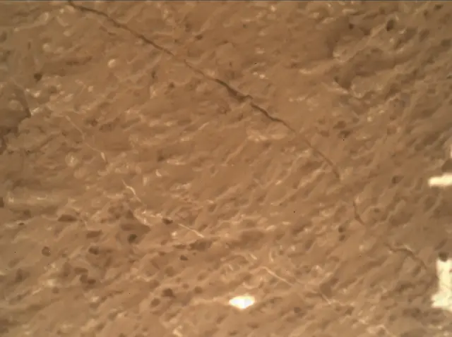 Sol 3219: Mars Hand Lens Imager (MAHLI)