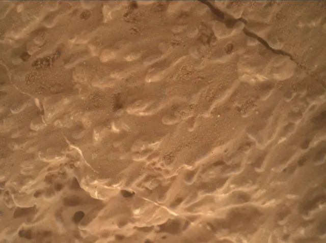 Sol 3219: Mars Hand Lens Imager (MAHLI)