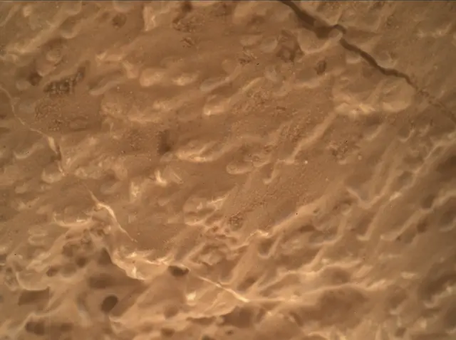 Sol 3219: Mars Hand Lens Imager (MAHLI)