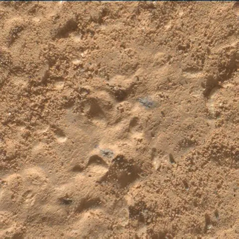 Sol 3221: Mars Hand Lens Imager (MAHLI)