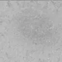 Sol 3228: Mast Camera (Mastcam)
