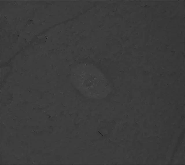 Sol 3228: Mast Camera (Mastcam)