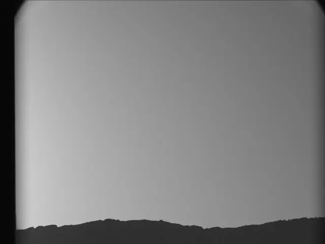 Sol 3248: Mast Camera (Mastcam)