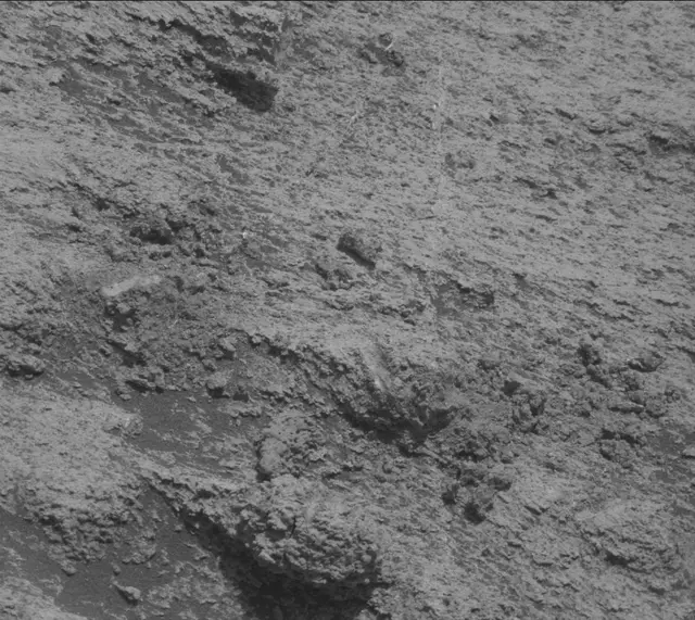 Sol 3248: Mast Camera (Mastcam)
