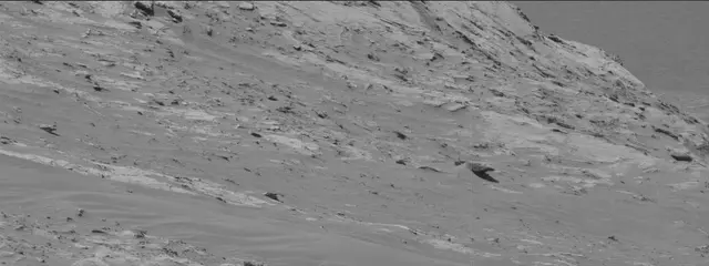 Sol 3274: Mast Camera (Mastcam)