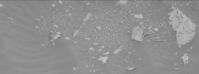 Sol 3278: Mast Camera (Mastcam)