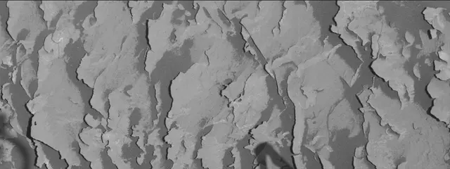 Sol 3278: Mast Camera (Mastcam)