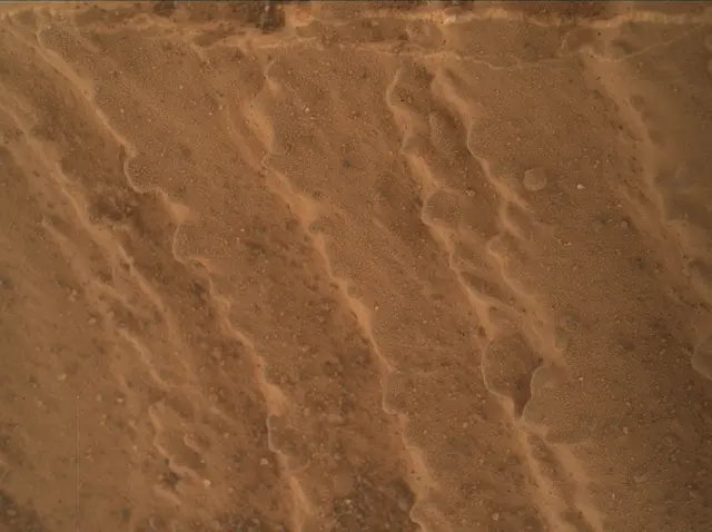 Sol 3279: Mars Hand Lens Imager (MAHLI)