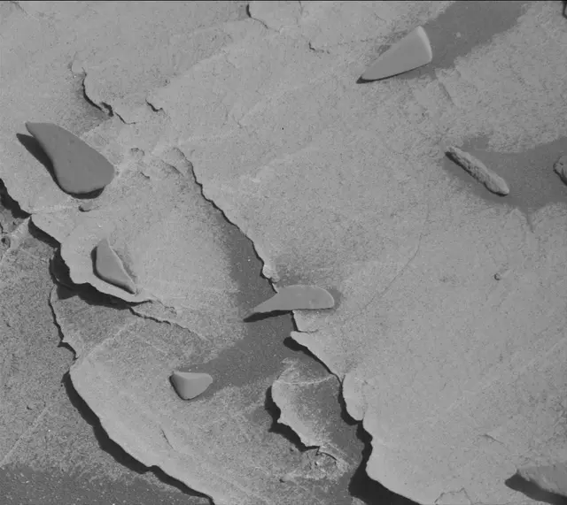 Sol 3283: Mast Camera (Mastcam)