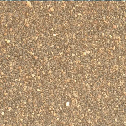 Sol 3285: Mars Hand Lens Imager (MAHLI)