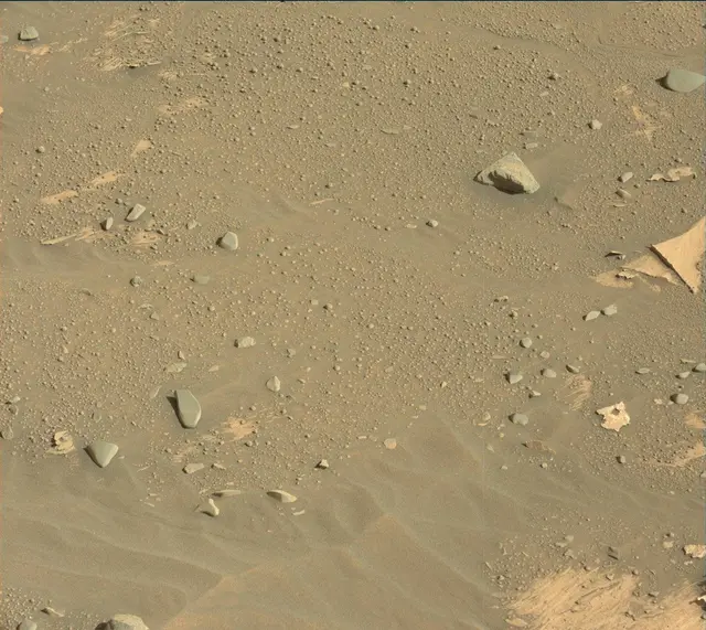 Sol 3286: Mast Camera (Mastcam)