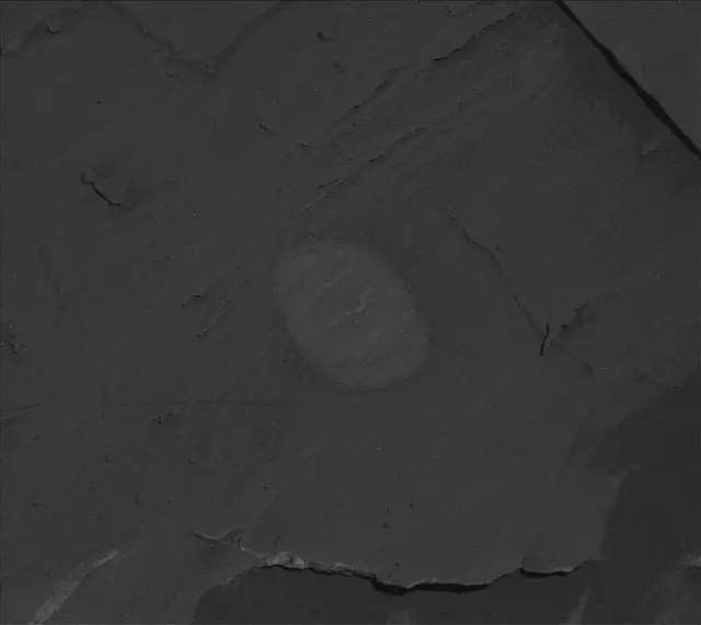 Sol 3288: Mast Camera (Mastcam)