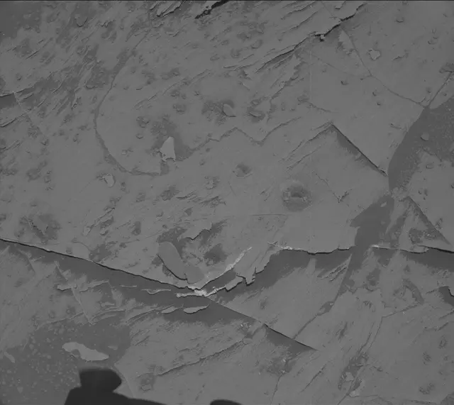 Sol 3290: Mast Camera (Mastcam)
