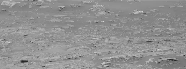 Sol 3294: Mast Camera (Mastcam)