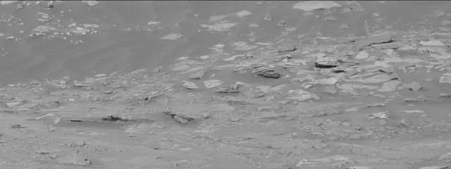 Sol 3294: Mast Camera (Mastcam)