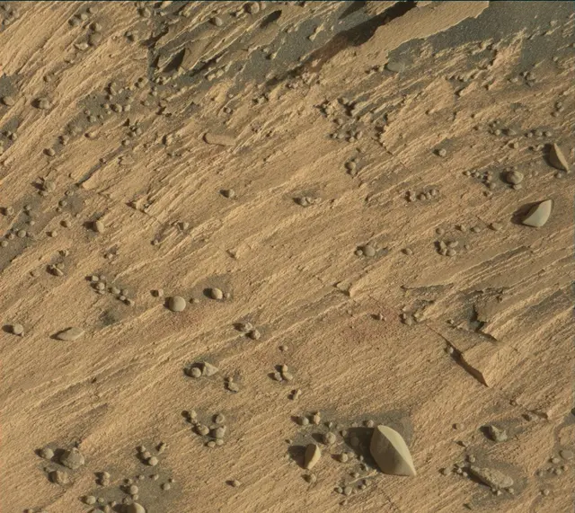 Sol 3301: Mast Camera (Mastcam)